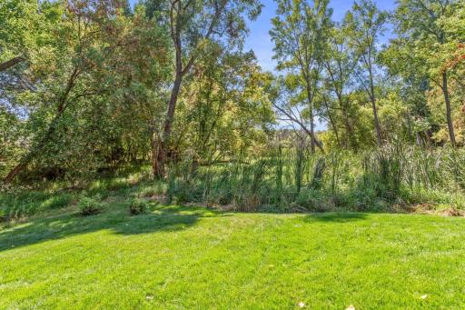 12041 Robin Road, Maple Grove, MN 55369