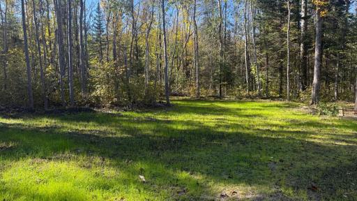 Parcel A Sunflower Road, Kelliher, MN 56650