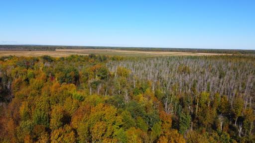 Parcel A Sunflower Road, Kelliher, MN 56650
