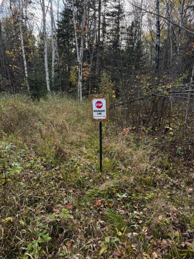 Parcel A Sunflower Road, Kelliher, MN 56650