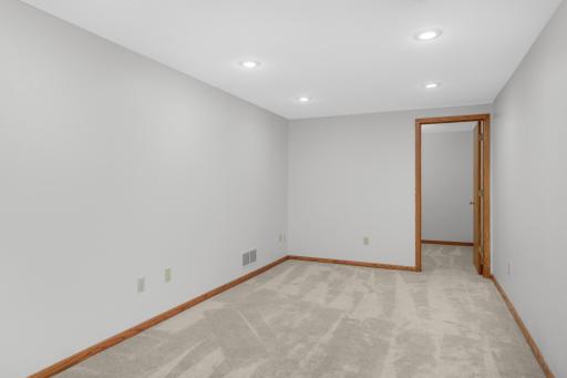 Lower-level Family Room