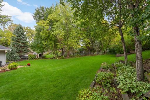 Beautiful backyard gardens