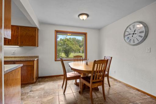 319 Cannon View Drive, Red Wing, MN 55066