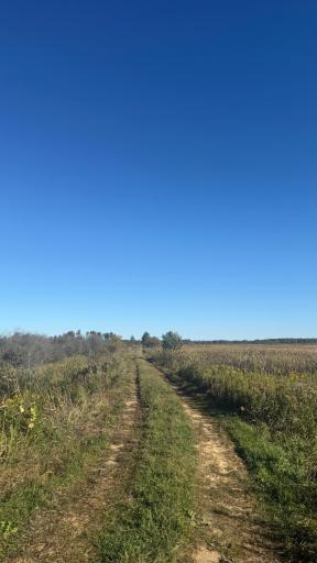 Parcel B Sunflower Road, Kelliher, MN 56650