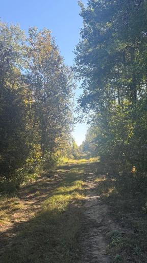 Photo for Parcel B Sunflower Road, Kelliher, MN 56650 - listing #7148577 Parcel B Sunflower Road, Kelliher, MN 56650