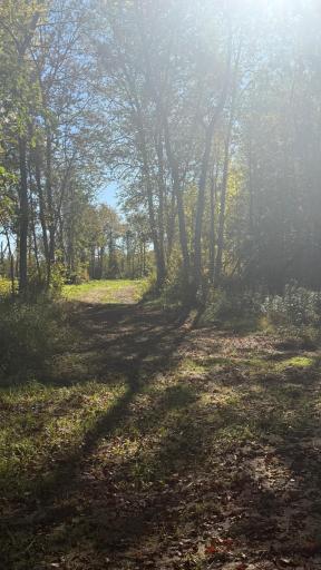 Parcel B Sunflower Road, Kelliher, MN 56650