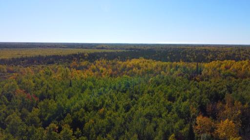 Parcel B Sunflower Road, Kelliher, MN 56650