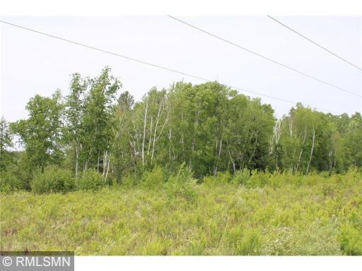 xxxxx Sandhill Crane Ln, Pine City, MN 55063