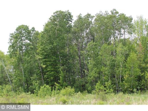 xxxxx Sandhill Crane Ln, Pine City, MN 55063