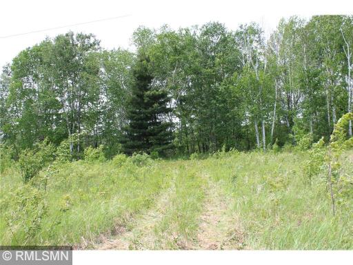 xxxxx Sandhill Crane Ln, Pine City, MN 55063