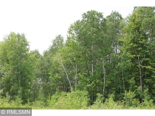 xxxxx Sandhill Crane Ln, Pine City, MN 55063