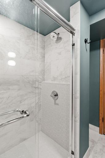 Walk in shower in the lower level bathroom!