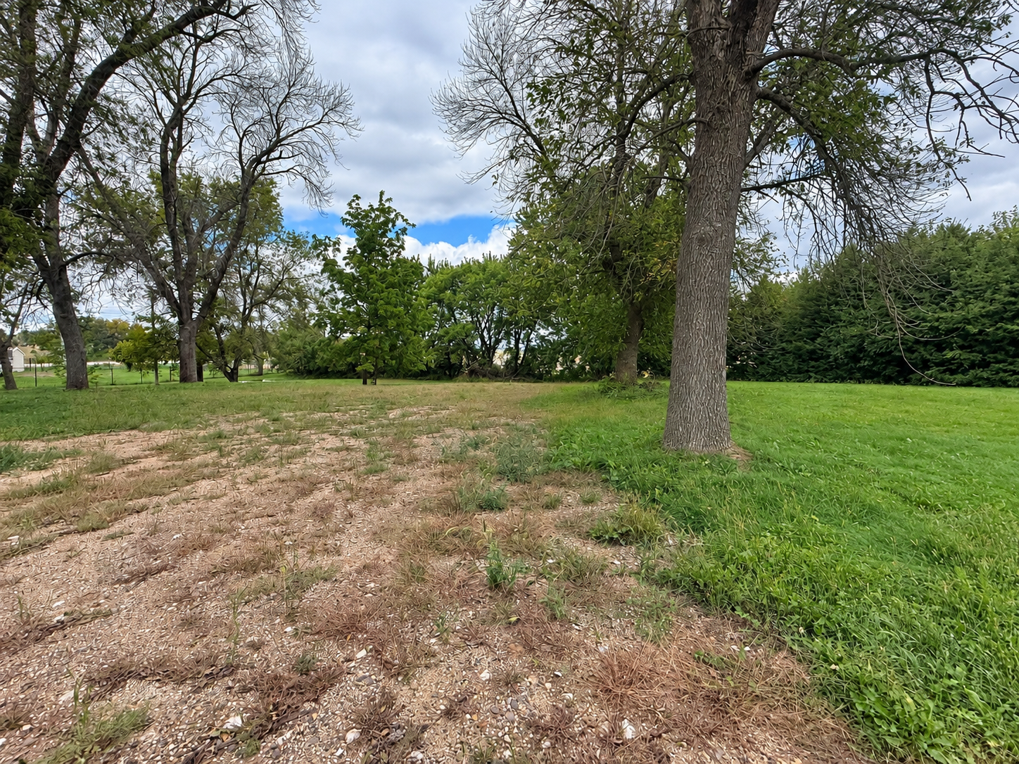Property photo for 103 5th Street NE, Geneva, MN 56035