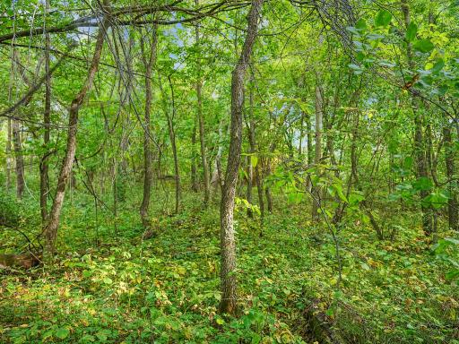 455XX Plentywood Rd, Perham, MN 56573