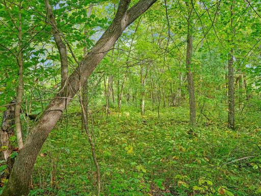 455XX Plentywood Rd, Perham, MN 56573