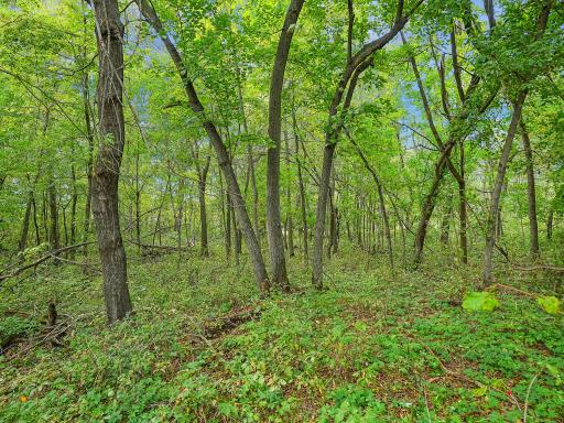 455XX Plentywood Rd, Perham, MN 56573