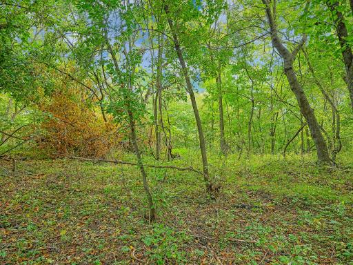 455XX Plentywood Rd, Perham, MN 56573