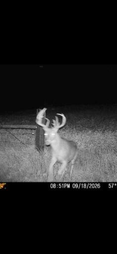 TBD Claire Rd, Taylor, WI 54659