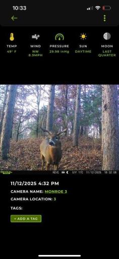 TBD Claire Rd, Taylor, WI 54659