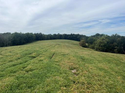 TBD Claire Rd, Taylor, WI 54659