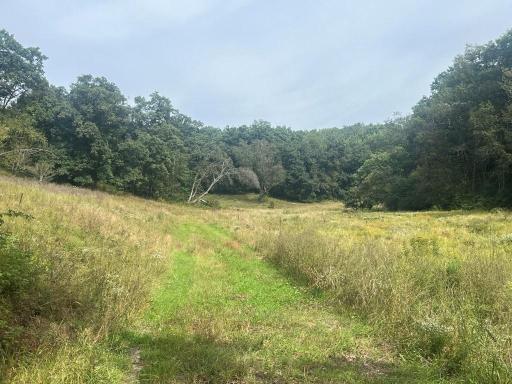 TBD Claire Rd, Taylor, WI 54659