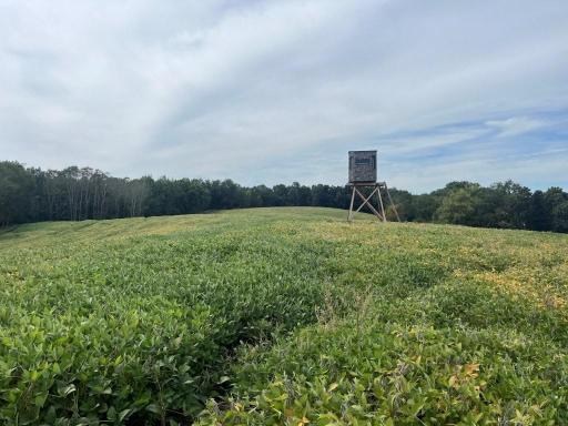 TBD Claire Rd, Taylor, WI 54659