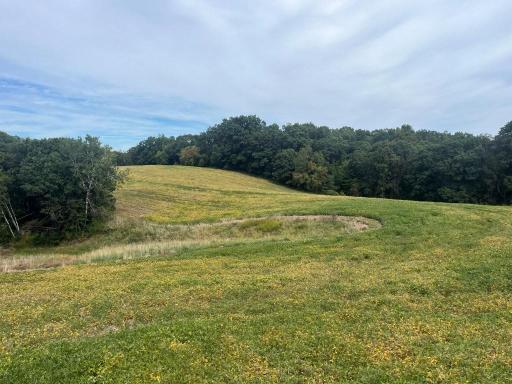 TBD Claire Rd, Taylor, WI 54659