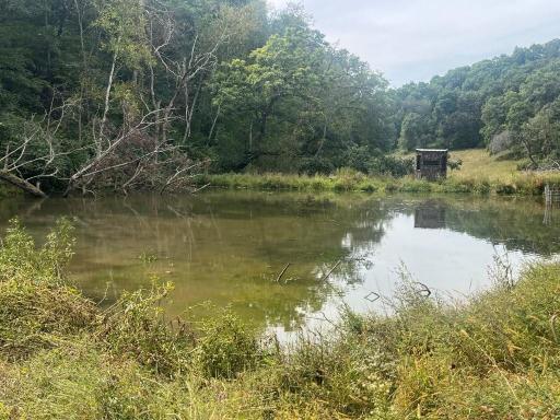 TBD Claire Rd, Taylor, WI 54659
