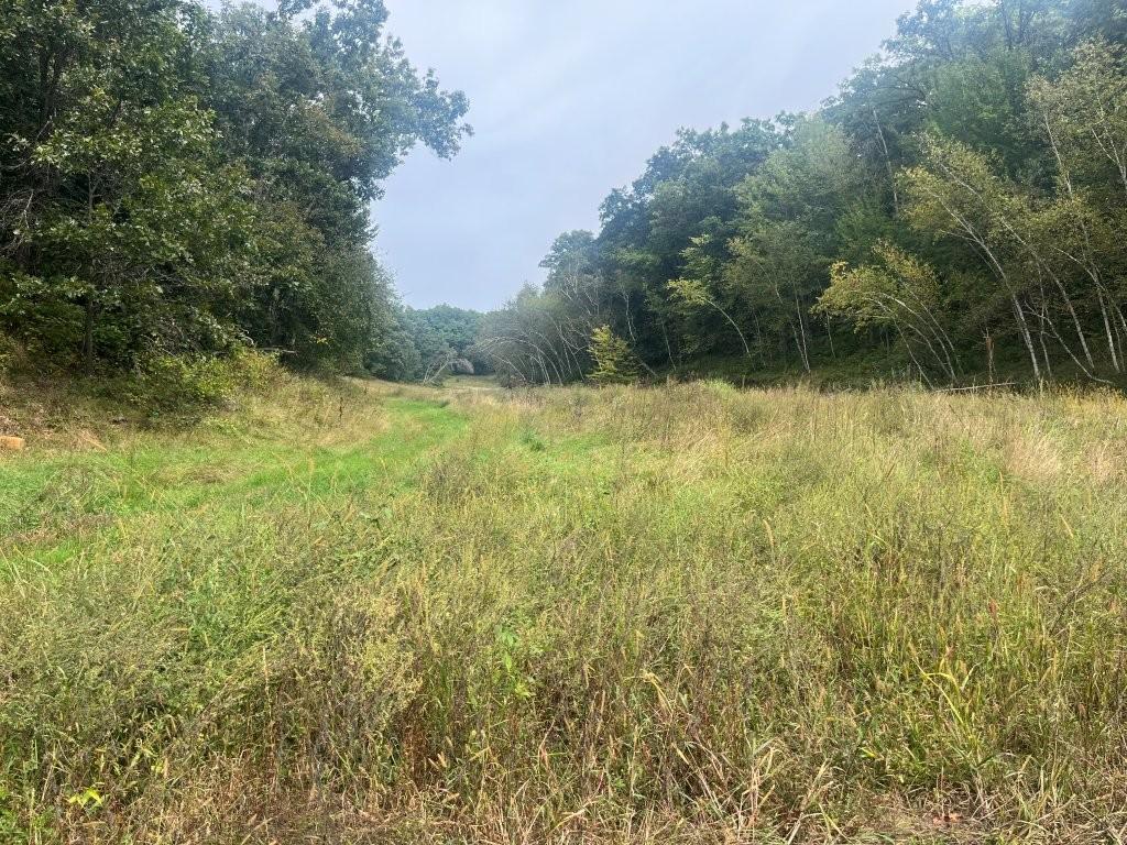 Property photo for TBD Claire Rd, Taylor, WI 54659
