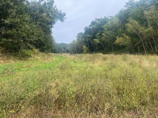 TBD Claire Rd, Taylor, WI 54659