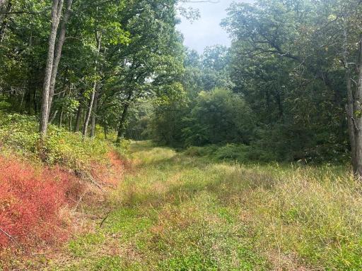 TBD Claire Rd, Taylor, WI 54659