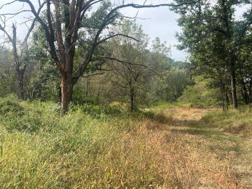 TBD Claire Rd, Taylor, WI 54659