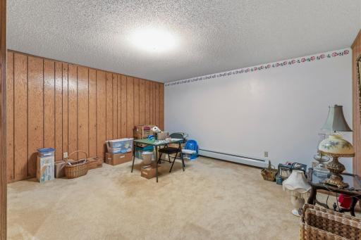 101 Park Lane, Kenyon, MN 55946