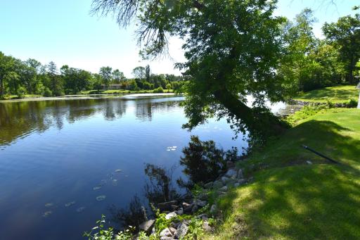 DSC_0156.JPG