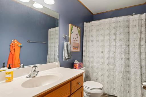 Full Bathroom (main level)