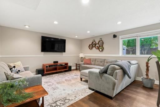 Family Room (lower level)