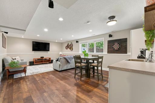 Family Room (lower level)