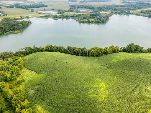 East Corn Field