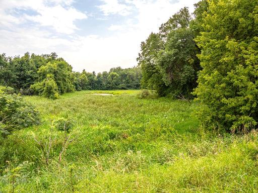 Wetland on the west end of the property
