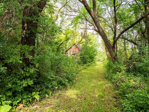 Old farm site