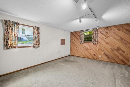 Lower level 4th bedroom
