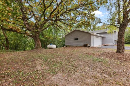 Large yard with tons of mature trees. like this beautiful old oak tree.