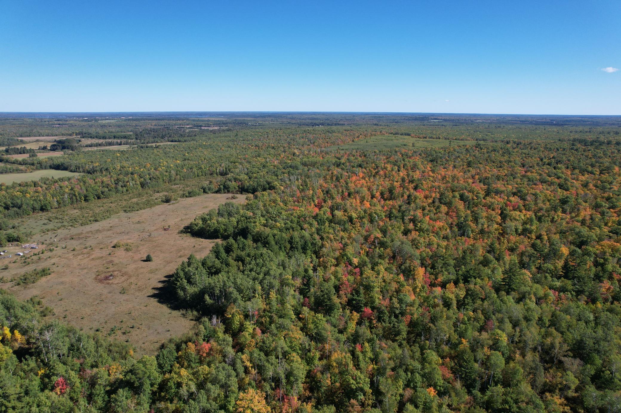 dji_fly_20260922_115332_99_1790096354643_photo.jpg