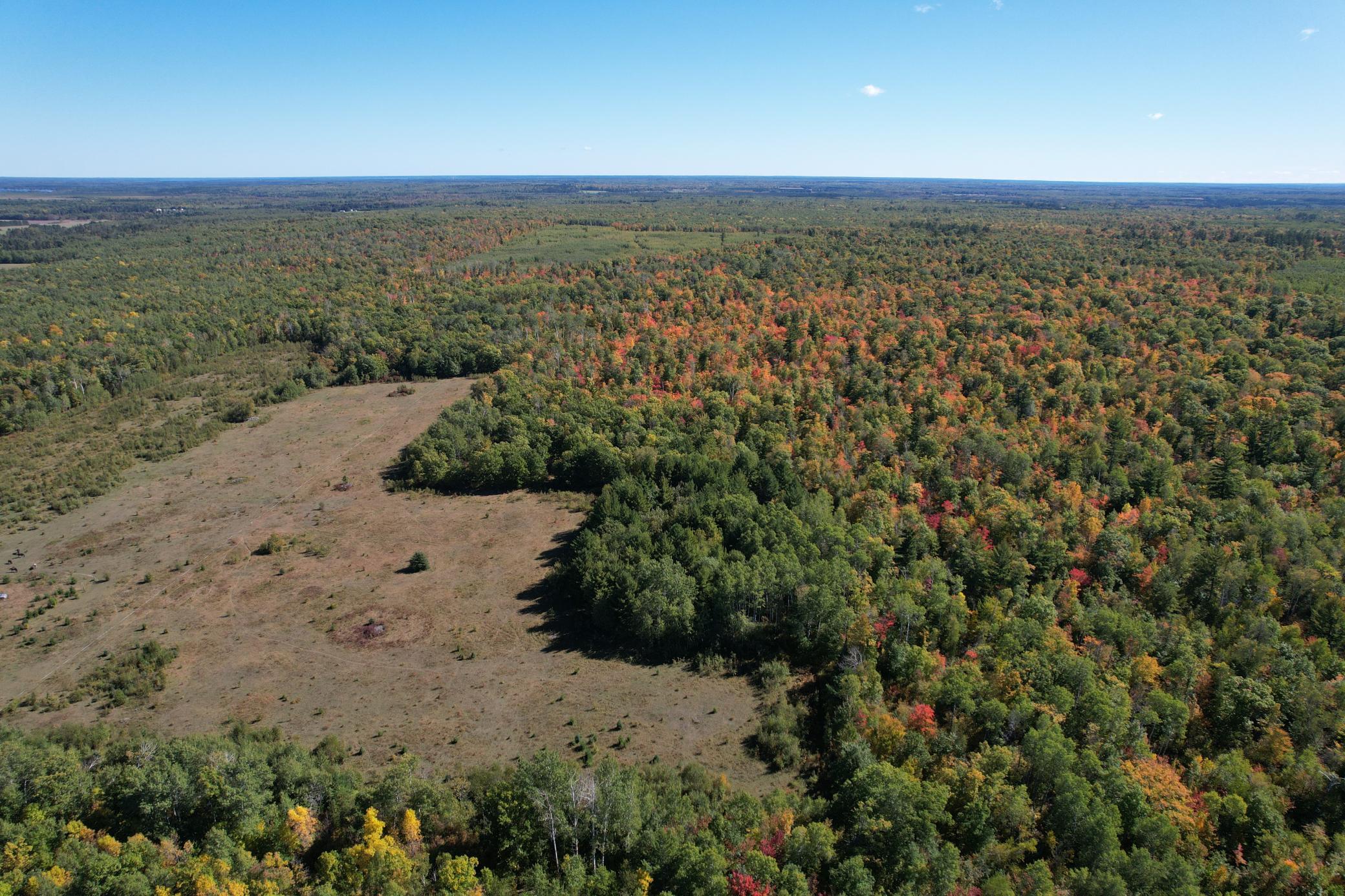 Property photo for TBD- 269th Avenue, Laporte, MN 56461