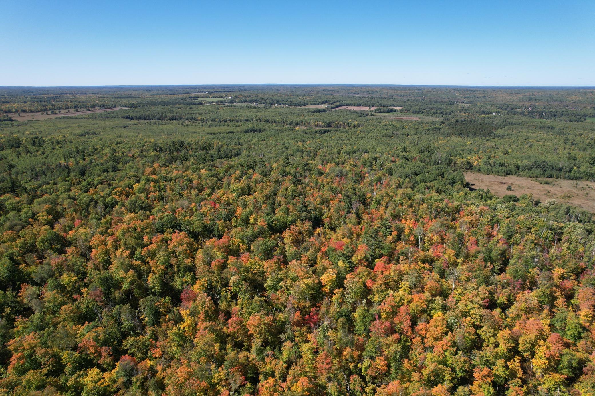 dji_fly_20260922_115636_109_1790096332081_photo.jpg