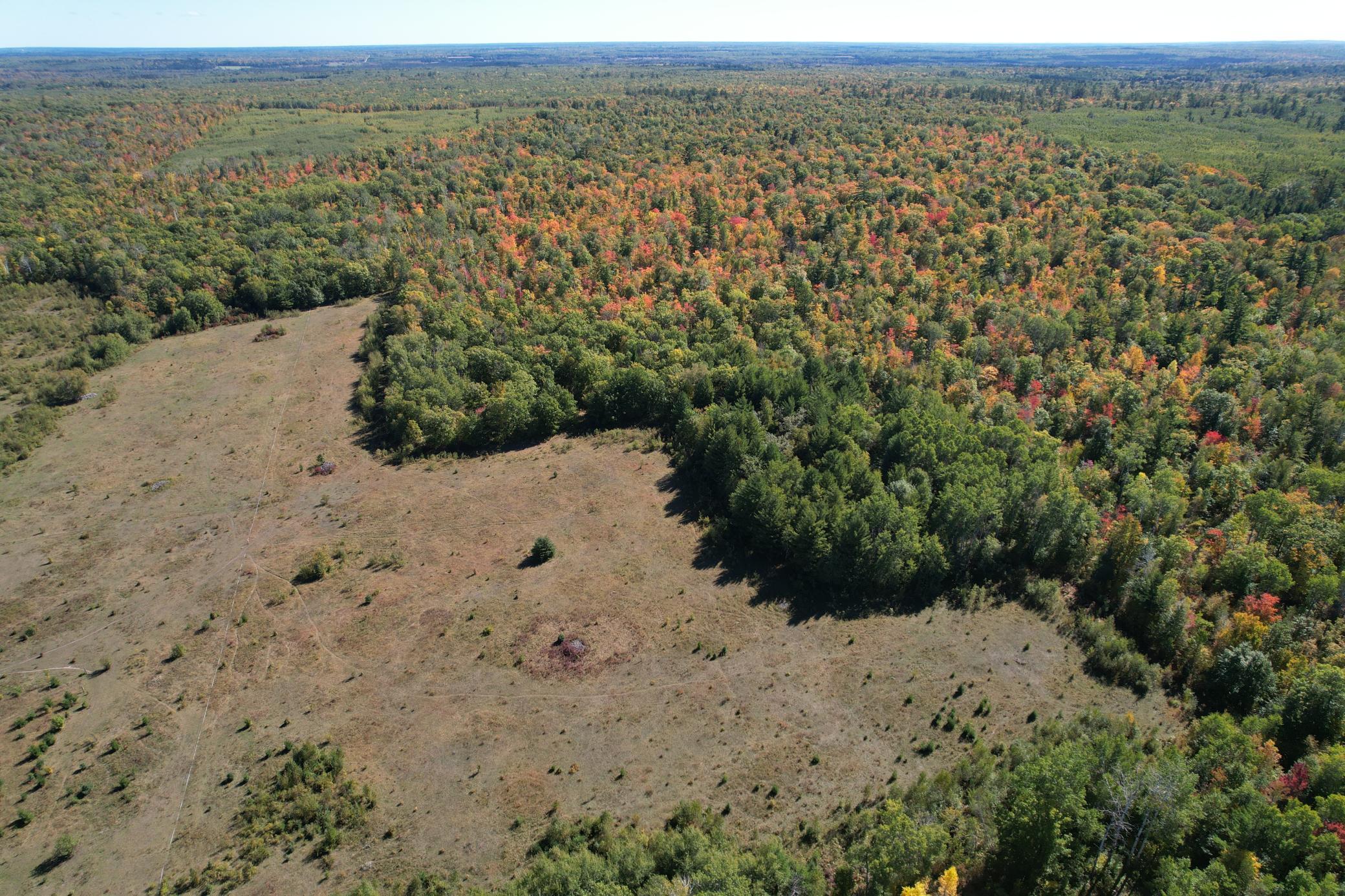 dji_fly_20260922_115424_102_1790096348900_photo.jpg