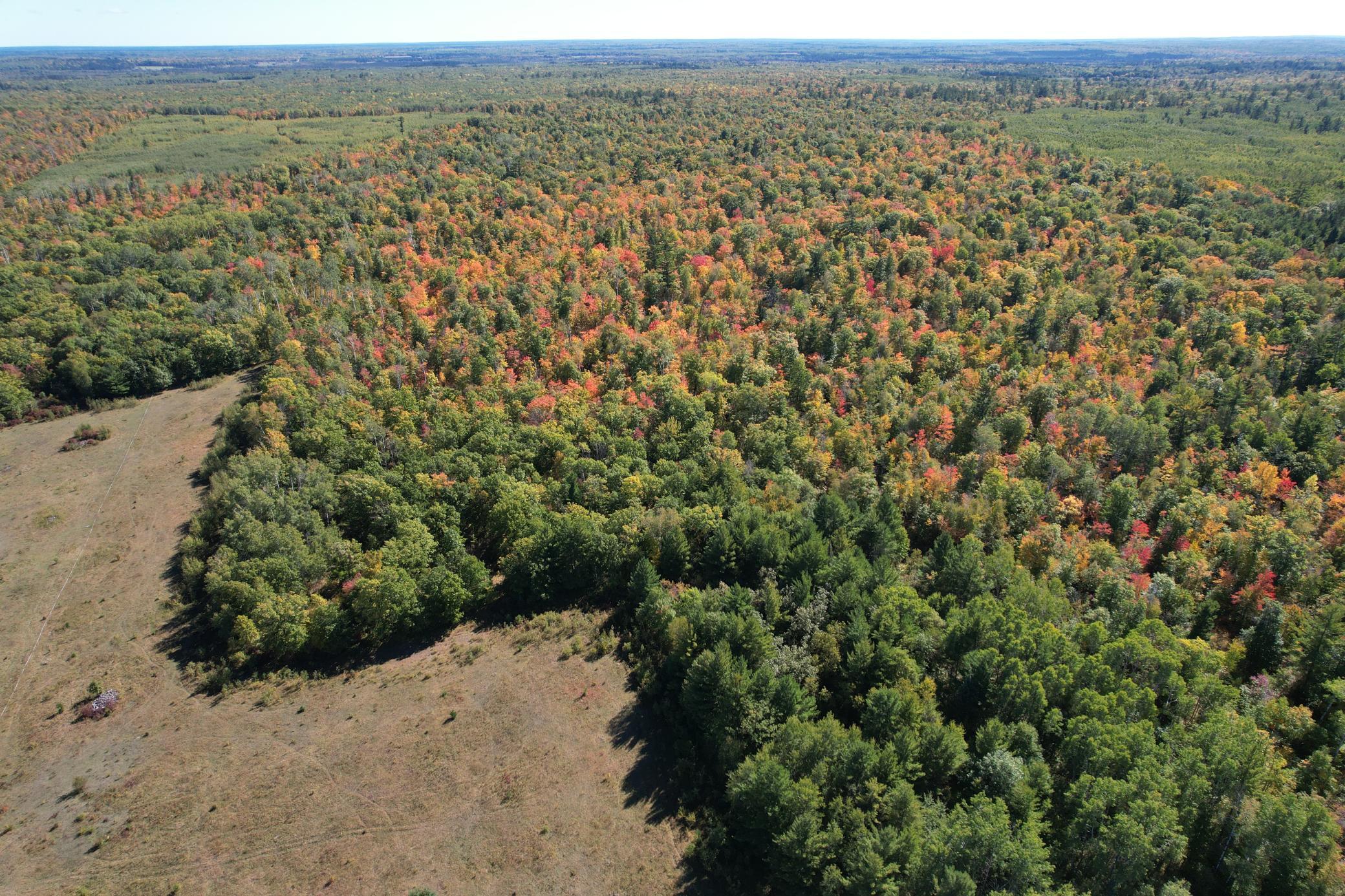 dji_fly_20260922_115432_103_1790096346795_photo.jpg
