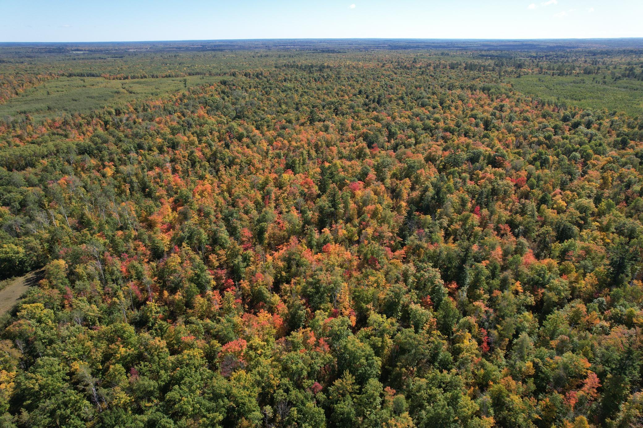 dji_fly_20260922_115442_104_1790096344536_photo.jpg