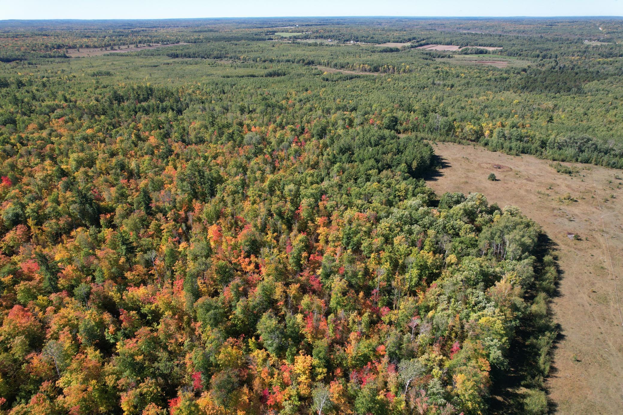 dji_fly_20260922_115722_110_1790096329988_photo.jpg
