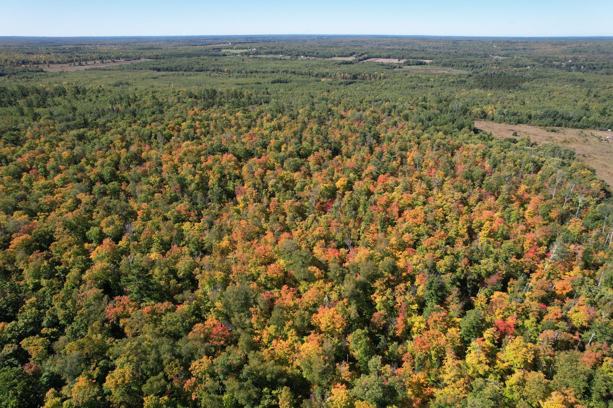 dji_fly_20260922_115626_108_1790096334455_photo.jpg